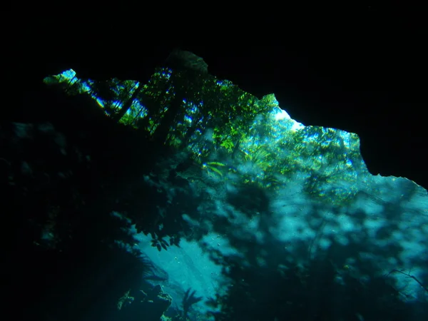 Cenote — Fotografia de Stock