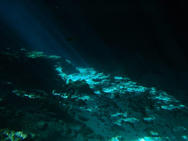 Cenote — Fotografia de Stock