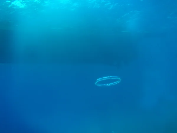 Кольцо Пузыря — стоковое фото