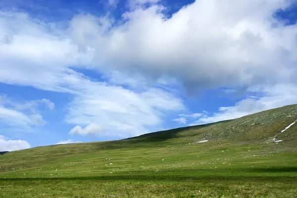 Field and sky — Stock Photo, Image