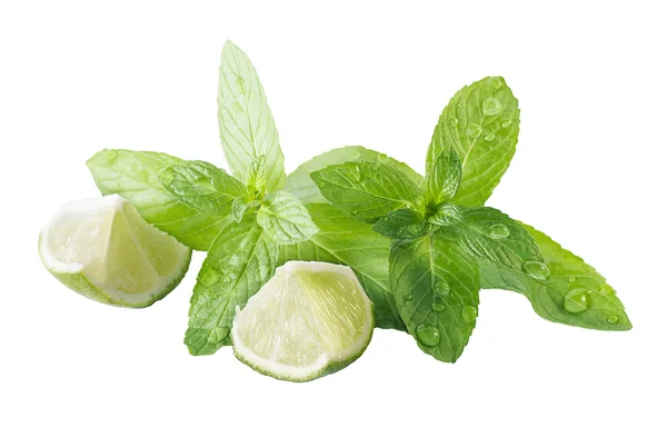 Mint and lime — Stock Photo, Image