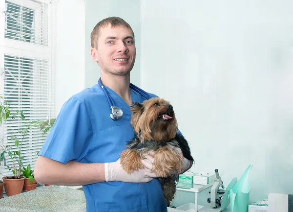 Veterinarian — Stock Photo, Image