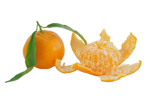 Två färska mandarin — Stockfoto