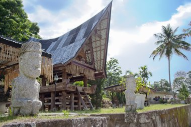 geleneksel batak evi