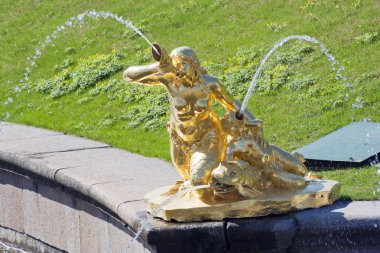 peterhof heykel çeşme