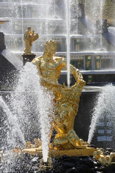 Samson-statue im brunnen von peterhof — Stockfoto