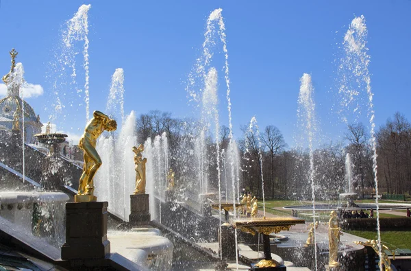 A large fountain in Peterhof — Stock Photo, Image