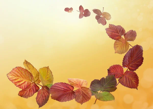 Rámeček podzimních listů — Stock fotografie
