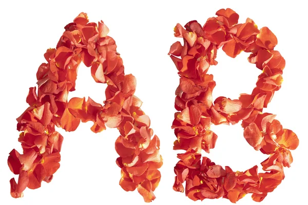 Letters "A" and "B" of rose petals — Stock Photo, Image