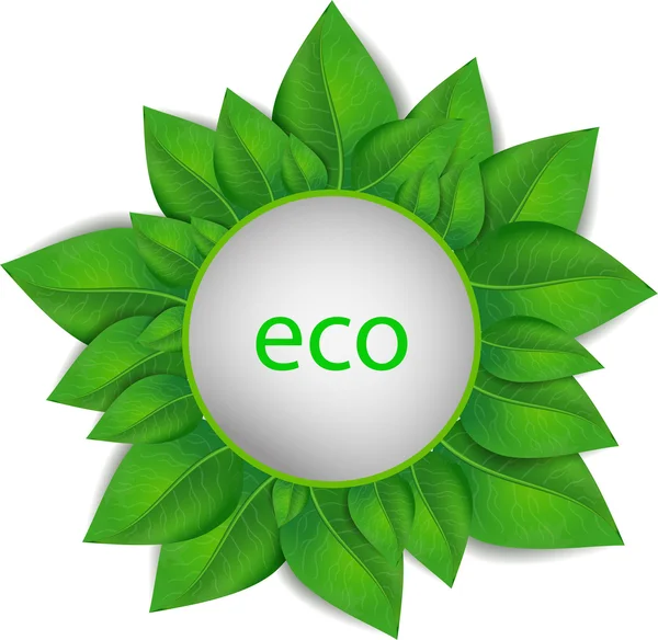 çerçeve vektör yeşil yaprakları