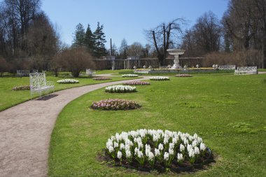 tsarskoye Selo Park