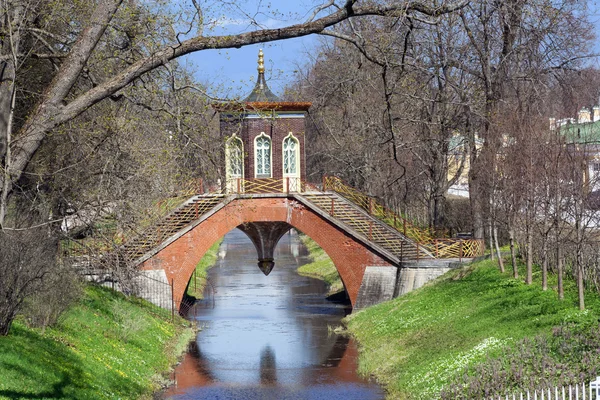 Tsarskoye selo köprü — Stok fotoğraf