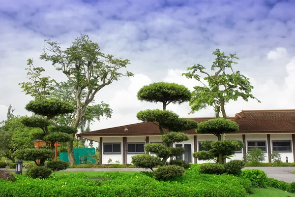 kır evi önünde çim