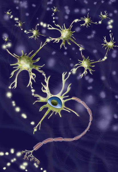 System of nerve cells — Stock Photo, Image