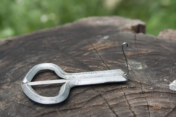 Traditionella harpa — Stockfoto