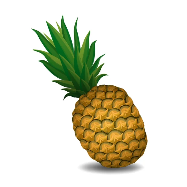 Ananas ananas sur fond blanc - illustration vectorielle — Image vectorielle