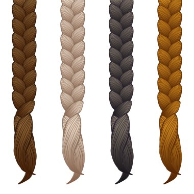 braids isolated on white background - vector illustration clipart