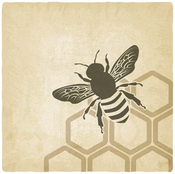 蜜蜂旧的背景 矢量图形