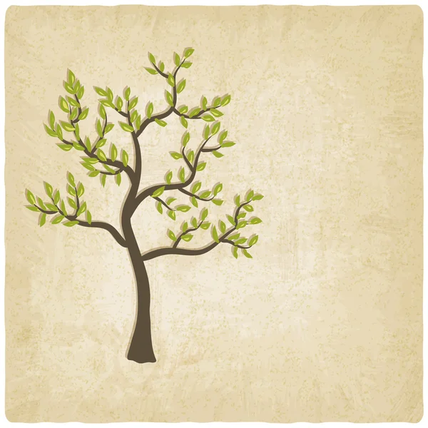 Árbol viejo fondo — Vector de stock