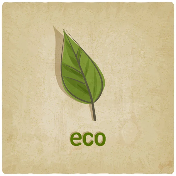 Eco oude achtergrond — Stockvector