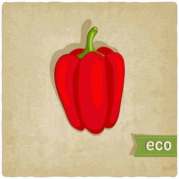Vegetable eco old background — Stock Vector