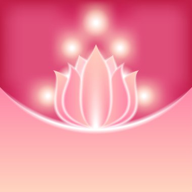 Pembe çiçek arka plan bulanık.