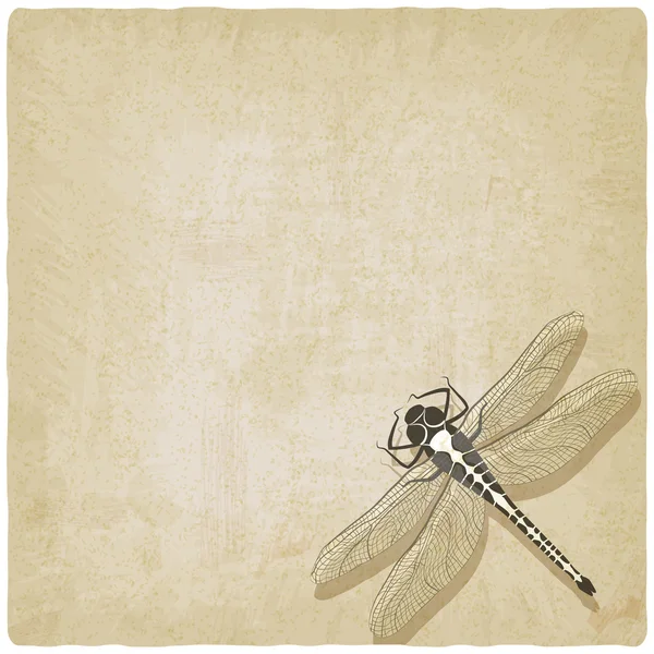 Dragonfly insect old background — Stock Vector