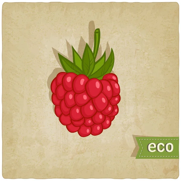 Latar belakang eco raspberry - Stok Vektor