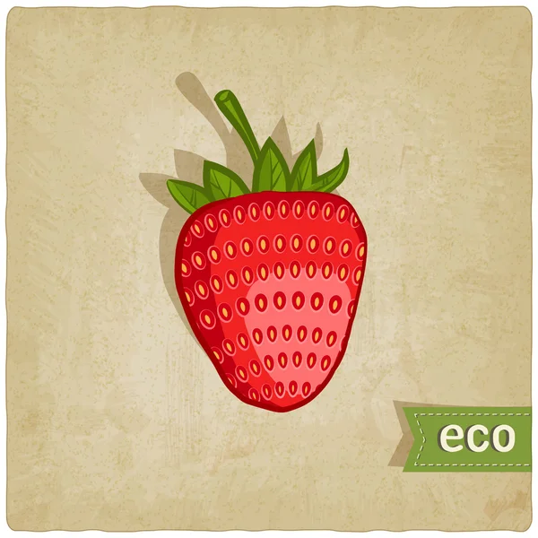 Strawberries eco background — Stock Vector