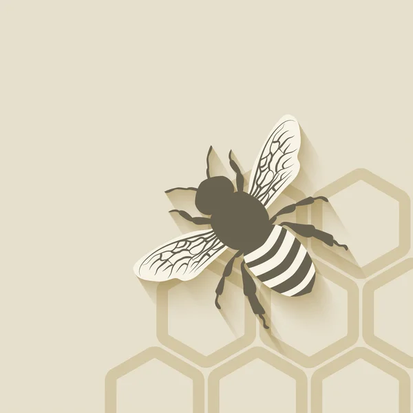 Abeja panal fondo — Vector de stock