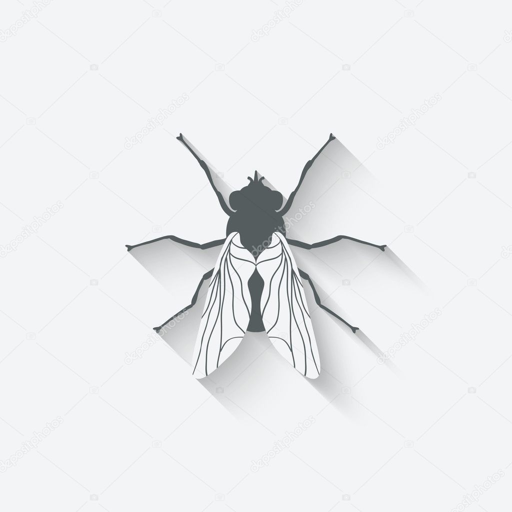 fly insect icon