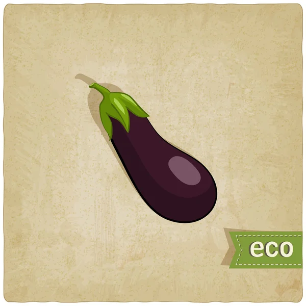 Aubergine eco background — Stock Vector