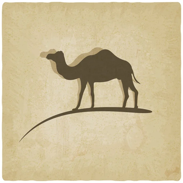 Camel old background — Stock Vector