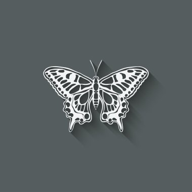 Beyaz kelebek machaon