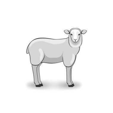 Beyaz arka planda Merino Koyunları. Vektör illüstrasyonu