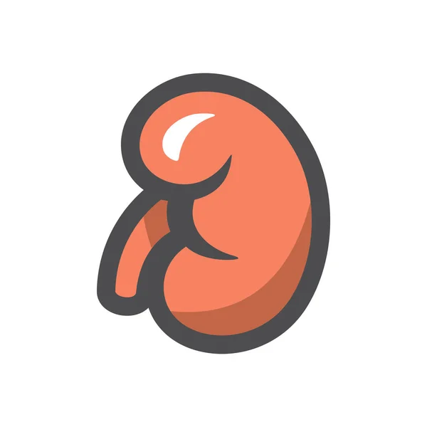 Nieren Menselijk orgaan Vector icoon Cartoon illustratie — Stockvector