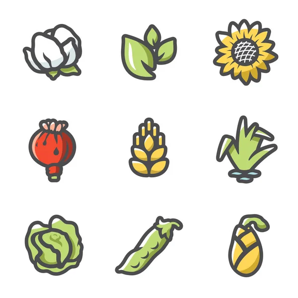 Hasat Simgelerinin Vektör Kümesi. Tarım. Ürün üretimi