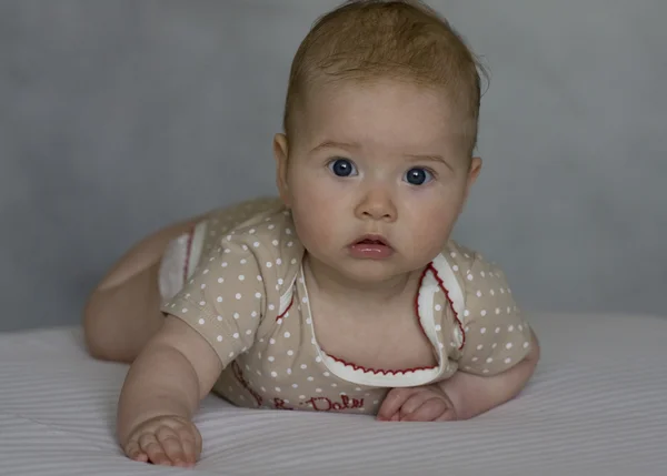 Five-month baby — Stock Photo, Image