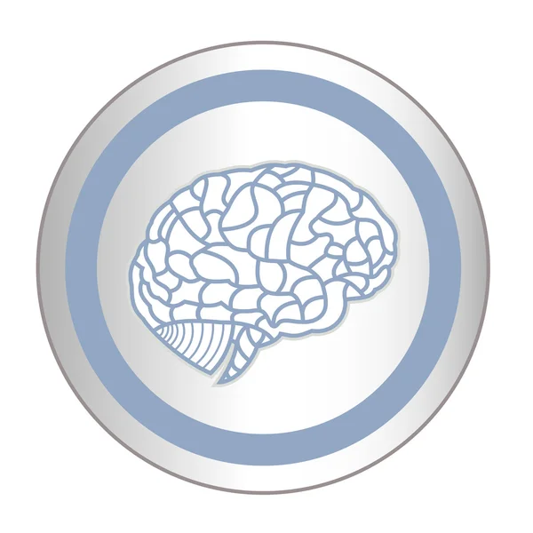 Modello di cervello sul pulsante web icona adesivo. Illustrazione EPS10 — Vettoriale Stock