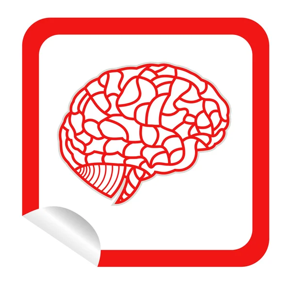 Brain model on sticker icon web button. EPS10 illustration — Stock Vector