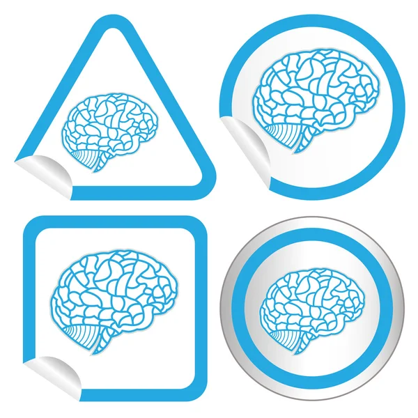 Modello di cervello sul pulsante web icona adesivo. Illustrazione EPS10 — Vettoriale Stock