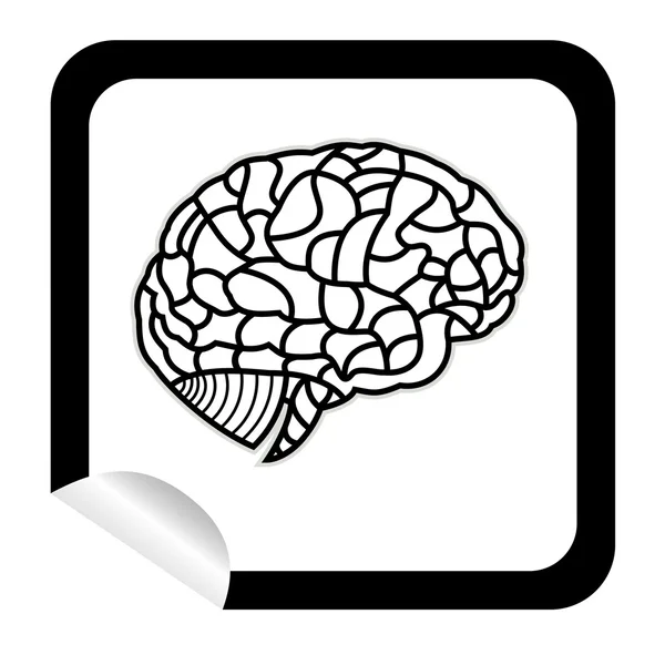 Modelo de cerebro en el icono de la etiqueta botón web. Ilustración EPS10 — Archivo Imágenes Vectoriales