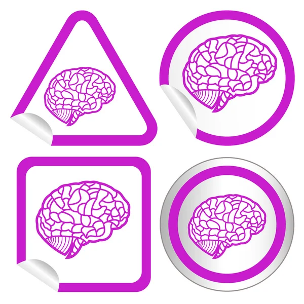 Modello di cervello sul pulsante web icona adesivo. Illustrazione EPS10 — Vettoriale Stock