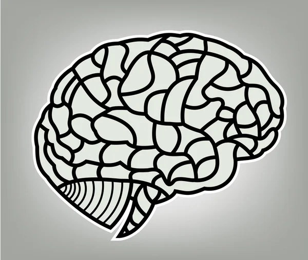 Hjärnan modell. eps10 illustration — Stock vektor