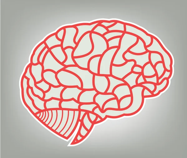 Modelul creierului. Ilustrație EPS10 — Vector de stoc