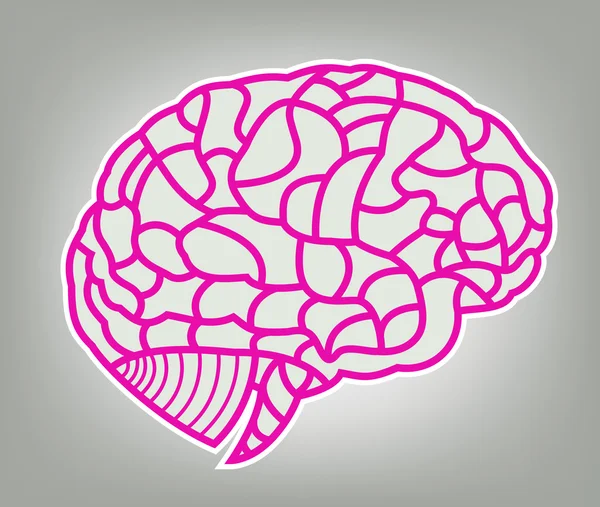 Gehirnmodell. eps10 Abbildung — Stockvektor