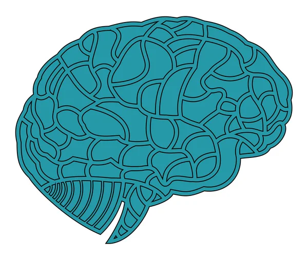 Мозговая модель. Иллюстрация EPS10 — стоковый вектор