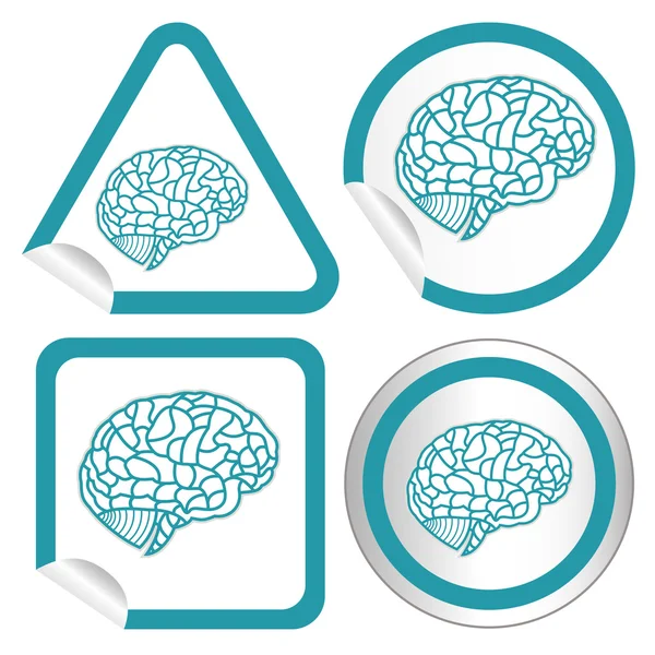 Brain model on sticker icon web button. EPS10 illustration — Stock Vector