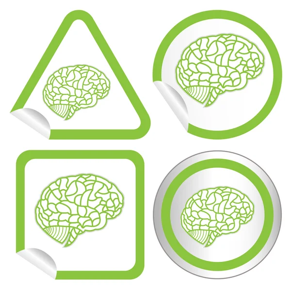 Brain model on sticker icon web button. EPS10 illustration — Stock Vector