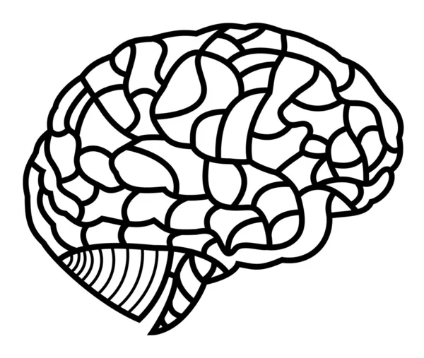 Мозговая модель. Иллюстрация EPS10 Лицензионные Стоковые Векторы